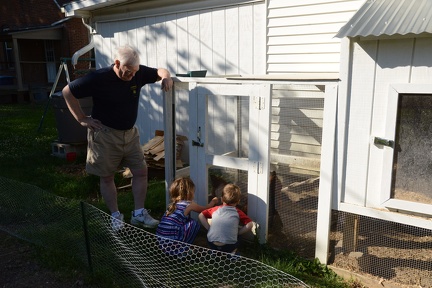Feeding Chickens3